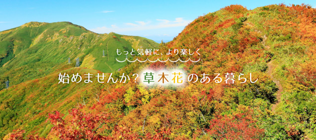 高額工事が成約しました