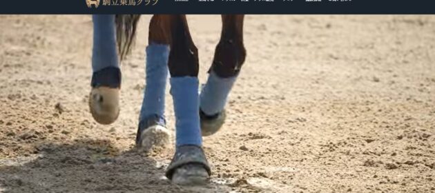 HPを公開してから反響が増えているよ!