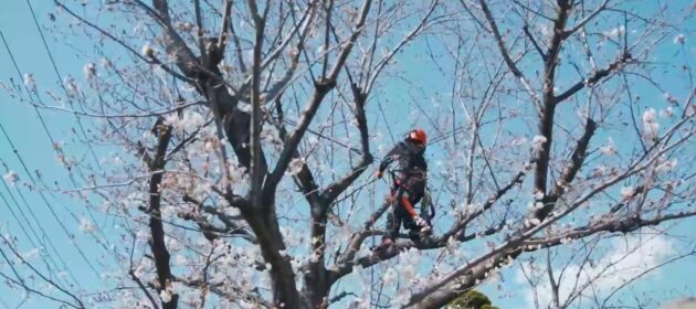 HP公開後、3日目にお問い合わせがありました！