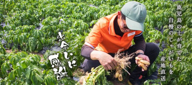 お問い合わせが来ました!